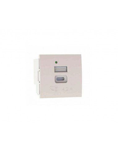 Módulo plano de 45x45 con doble cargador USB A+C 5V 4.2A EPUAC4/4 de Mmconecta