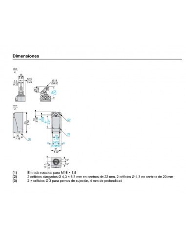 Interruptor posición rodillo termoplástico XCKP2121P16 de Telemecanique