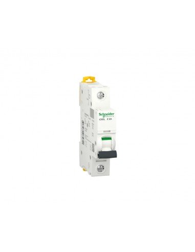Interruptor automático 1P 2A 100kA A9F92102 de Schneider