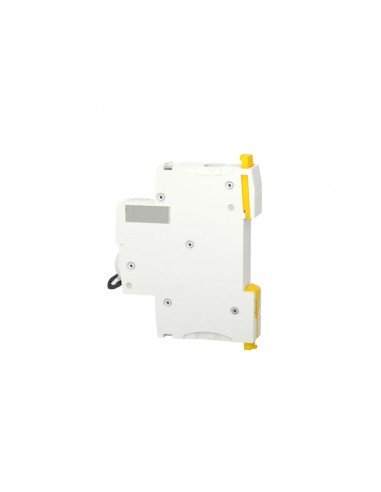 Interruptor automático 1P 2A 100kA A9F92102 de Schneider