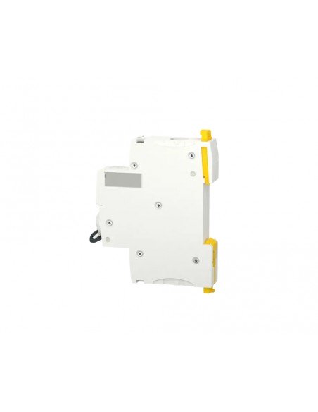 Interruptor automático 1P 2A 100kA A9F92102 de Schneider