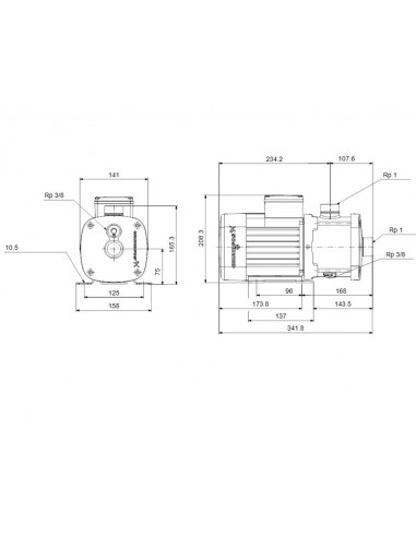 Bomba centrífuga de aspiración axial CM 1-5 A-R-I-E-AQQE C-A-A-N 0.5kW 97515000 de Grundfos
