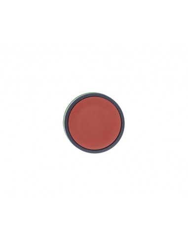 Cabeza pulsador diámetro 22 ZB5AA de Schneider