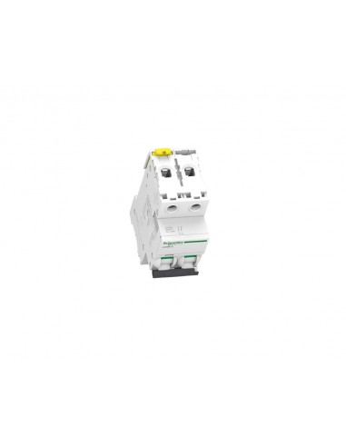 Interruptor automático Acti9 iC60N 2P 16A Curva D A9F75216 de Schneider