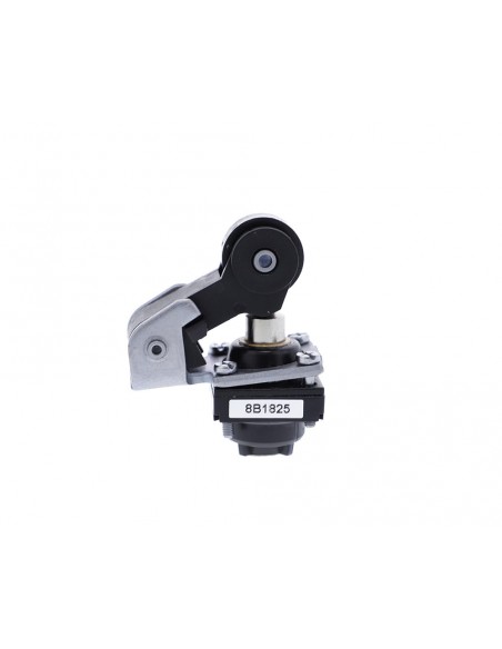 Cabeza final de carrera roldana y leva de plástico ZCKD21 de Schneider