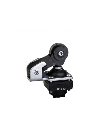 Cabeza final de carrera roldana y leva de plástico ZCKD21 de Schneider