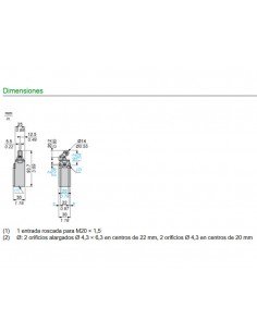 Final de carrera rodillo termoplástico XCKN2121P20 de Telemecanique 2