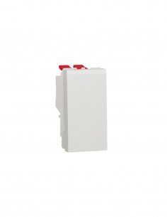 Cruzamiento estrecho de Schneider