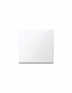 Tecla simple de Schneider