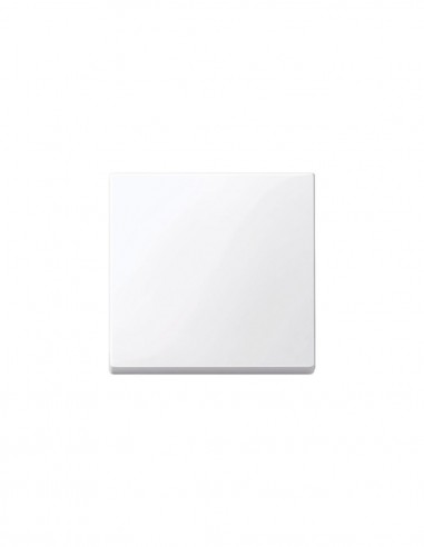 Tecla simple de Schneider