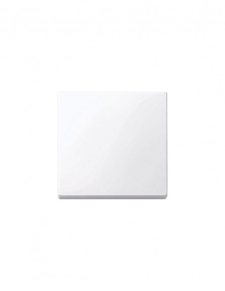 Tecla simple de Schneider